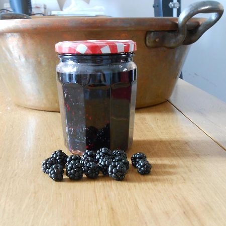 Les Grands Pres Bed and Breakfast Geney Buitenkant foto
