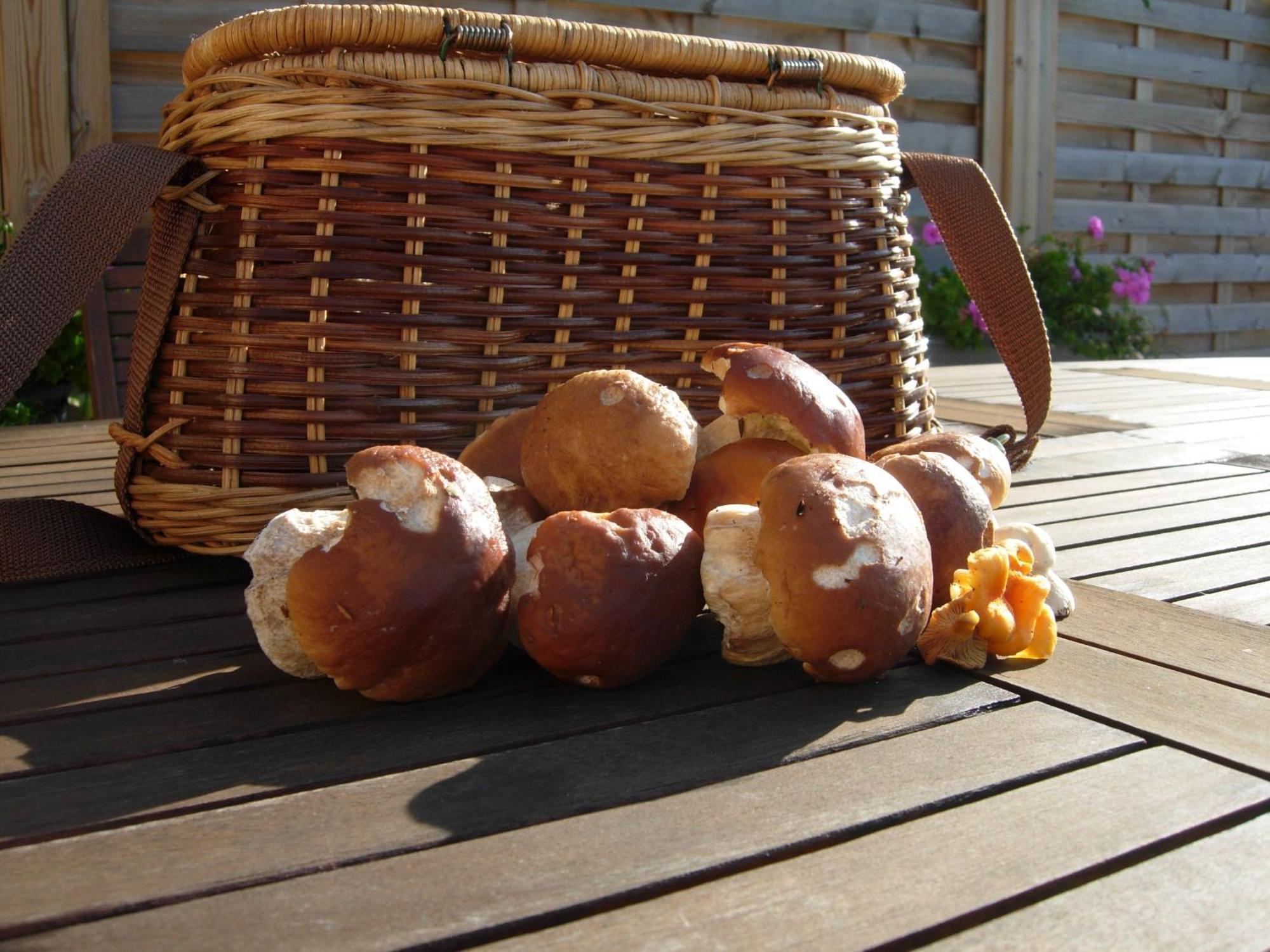 Les Grands Pres Bed and Breakfast Geney Buitenkant foto