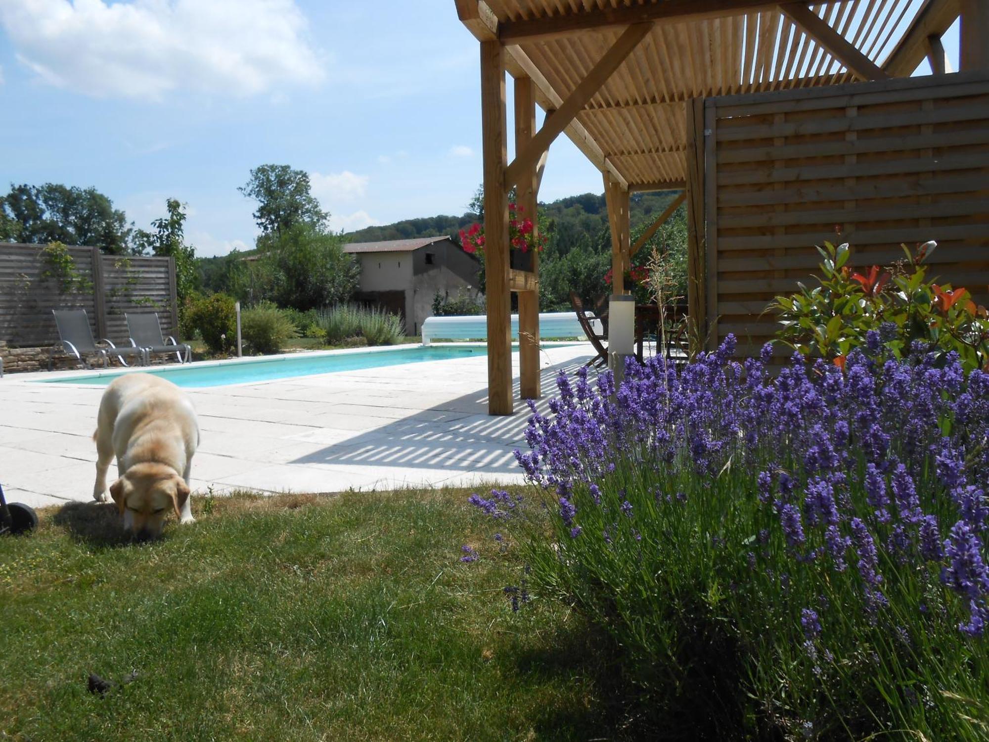 Les Grands Pres Bed and Breakfast Geney Buitenkant foto